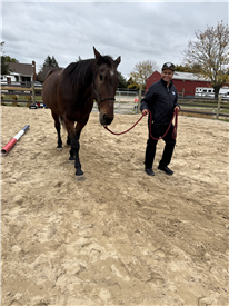 2025-10-29 12.25.23-1